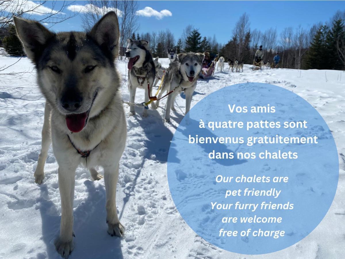 HUSKY - Chalets de Moh - Jacuzzi La Malbaie Buitenkant foto